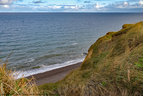 Sheringham cliff top Picture Board by Chris Yaxley