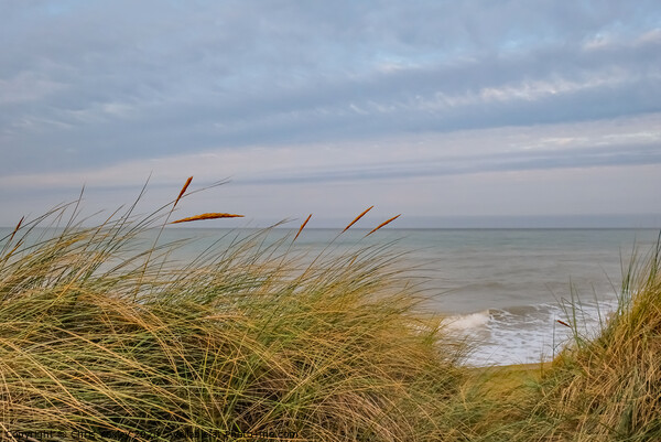 North Norfolk coast from the sand dunes Picture Board by Chris Yaxley