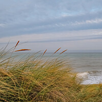 Buy canvas prints of North Norfolk coast from the sand dunes by Chris Yaxley