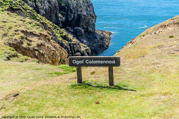 Ogof Colomennod, Ramsey Island Picture Board by Chris Yaxley