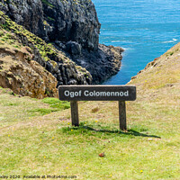 Buy canvas prints of Ogof Colomennod, Ramsey Island by Chris Yaxley