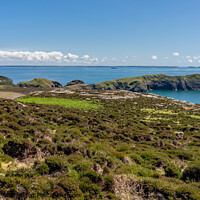Buy canvas prints of Ramsey Island, Wales by Chris Yaxley