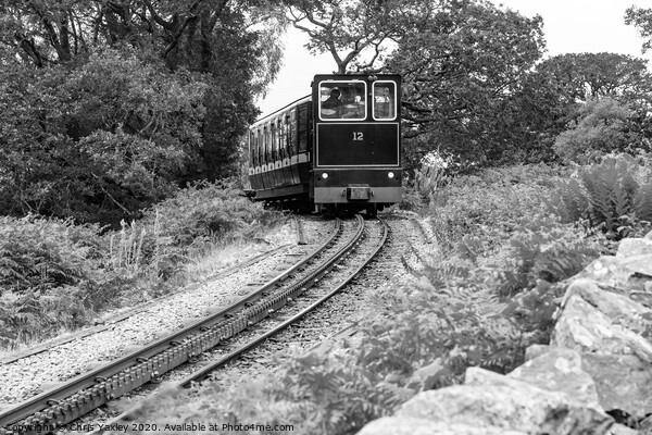 Mount Snowdon Diesel train Picture Board by Chris Yaxley
