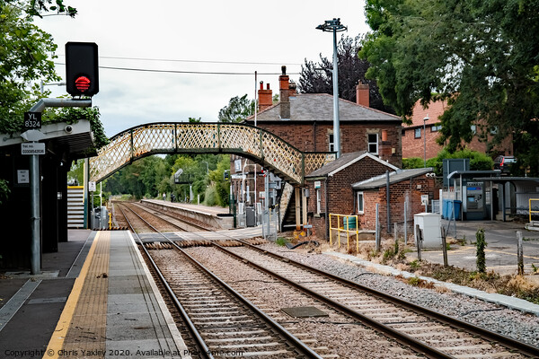 A View from the railway station at Brundall Gardens Picture Board by Chris Yaxley