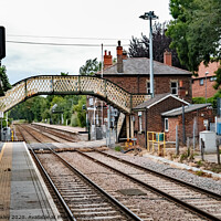 Buy canvas prints of A View from the railway station at Brundall Gardens by Chris Yaxley