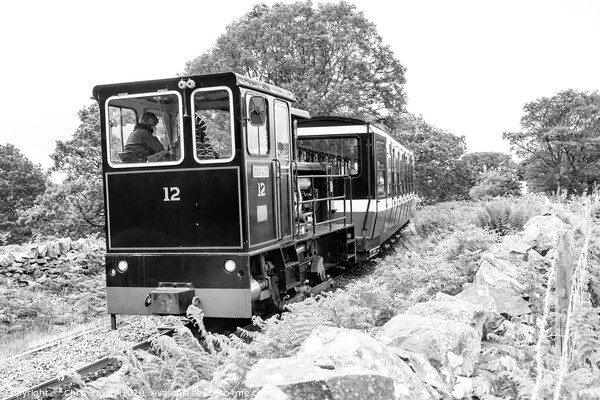 Diesel train on Mount Snowdon Railway, Llanberis, North Wales Picture Board by Chris Yaxley