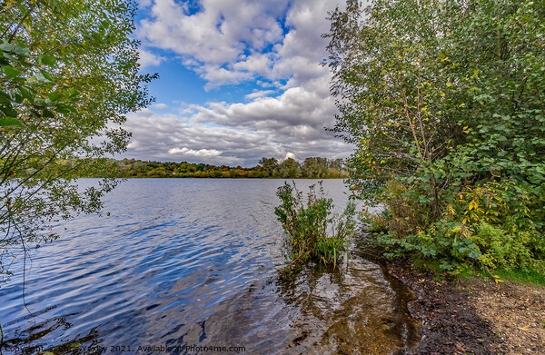 Whitlingham Broad Picture Board by Chris Yaxley