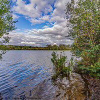 Buy canvas prints of Whitlingham Broad by Chris Yaxley