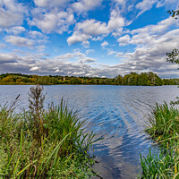 Buy canvas prints of A peaceful day on at Whitlingham Broad, Norwich by Chris Yaxley
