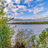 Buy canvas prints of Whitlingham Broad in the heart of the Norfolk Broads by Chris Yaxley