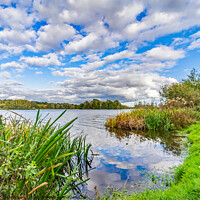 Buy canvas prints of A view over Whitlingham Broad by Chris Yaxley