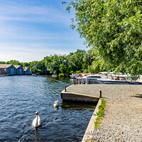 Buy canvas prints of Public moorings, Wroxham, Norfolk Broads by Chris Yaxley