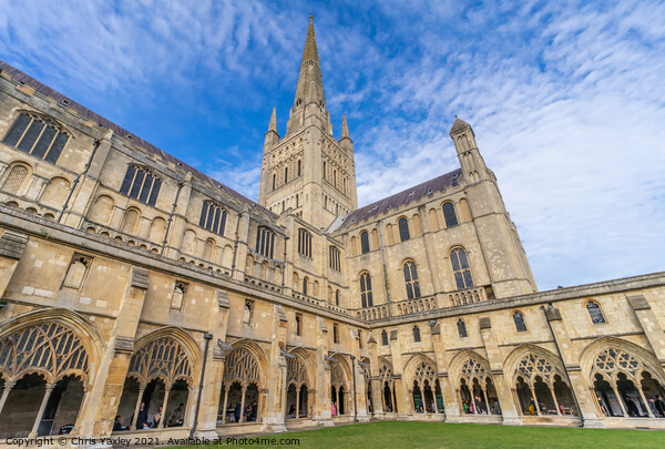Norwich Cathedral, Norfolk Picture Board by Chris Yaxley
