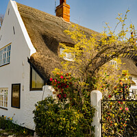 Buy canvas prints of The Staithe n Willow cafe, Horning, Norfolk Broads by Chris Yaxley