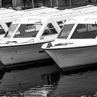 Buy canvas prints of Hire boats on the River Bure by Chris Yaxley