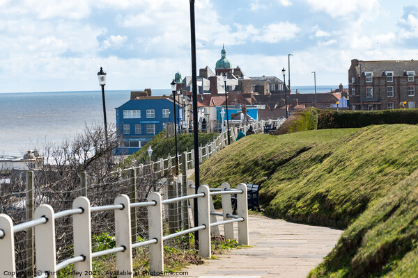 The seaside town of Cromer on the Norfolk coast Picture Board by Chris Yaxley