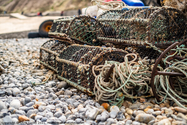 Crab pots and lobster traps, North Norfolk coast Picture Board by Chris Yaxley
