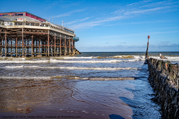 Cromer beach on the North Norfolk coast Picture Board by Chris Yaxley