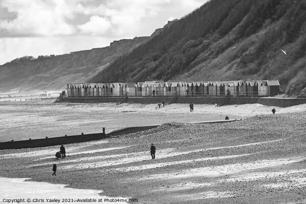 Cromer beach and beach huts on the North Norfolk coast Picture Board by Chris Yaxley