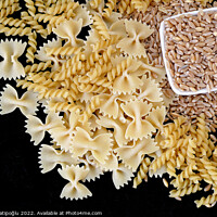 Buy canvas prints of some dry wheat and different shapes of pasta standing on black background,close-up of macaroni and wheat together, by nazife hatipoğlu