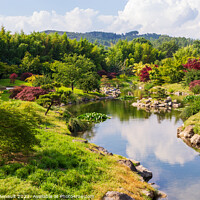 Buy canvas prints of Japanese garden and nature  by Laurent Renault