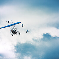 Buy canvas prints of Microlight flying among the cranes by Laurent Renault