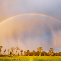 Buy canvas prints of Rainbow over stormy sky in rural Brittany by Laurent Renault
