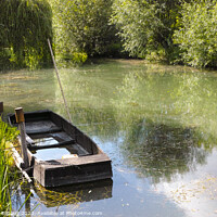 Buy canvas prints of Small boat in marshes in Bourges by Laurent Renault
