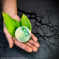 Buy canvas prints of Human hands holding a green globe of planet Earth over leaves by Laurent Renault