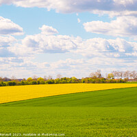 Buy canvas prints of Rural landscape of cultivated fields in Nouvelle-Aquitaine by Laurent Renault