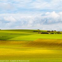 Buy canvas prints of Rural landscape of cultivated fields in the surroundings of Cala by Laurent Renault