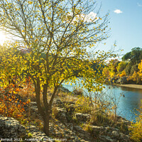 Buy canvas prints of Autumn landscape of trees with colorful fall foliage against the by Laurent Renault