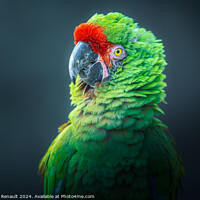 Buy canvas prints of Photography taken of a posing Military macaw green parrot by Laurent Renault