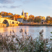Buy canvas prints of Avignon city and his famous bridge over the Rhone River. Photogr by Laurent Renault