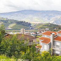 Buy canvas prints of Landscape with terraced vineyards near Peso da Régua. Portugal by Laurent Renault
