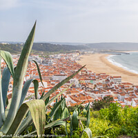 Buy canvas prints of Aerial view of Nazaré beach and the Atlantic ocean, Portugal by Laurent Renault
