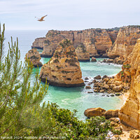 Buy canvas prints of Cliffs and ocean, Praia da Marinha, Algarve, Portugal by Laurent Renault