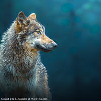 Buy canvas prints of Sideways portrait of a Gray wolf also known as timber wolf, in t by Laurent Renault