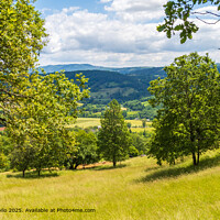 Green Nature Landscape in France
