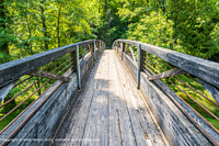 Click to show how this picture will look as a piece of wall art