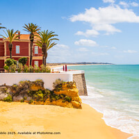 Sand, Sea, and Palm Trees in Armacao de Pera