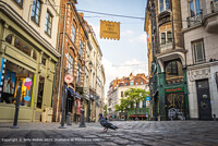 Click to show how this picture will look as a piece of wall art