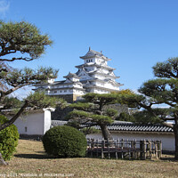 Buy canvas prints of Landscape view of the main tower of Himeji Castle on the hillsid by Yann Tang