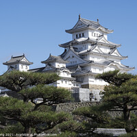 Buy canvas prints of Landscape view of the main tower of Himeji Castle on the hillsid by Yann Tang