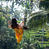 Buy canvas prints of Young woman swinging in the jungle rainforest of Bali, Indonesia by Yann Tang