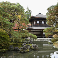 Buy canvas prints of Ginkaku-ji Silver Pavilion during the autumn season in Kyoto by Yann Tang