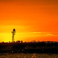 Buy canvas prints of Australian Outback Sunset by Shaun Carling