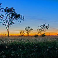 Buy canvas prints of Sunrise At Roma, Australia by Shaun Carling