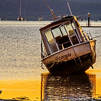 Buy canvas prints of Boats & Birdie Sunrise by Shaun Carling