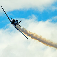 Buy canvas prints of American Fighter At Cressbrook Air Show  by Shaun Carling